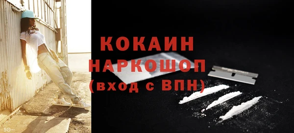 кокс Елизово