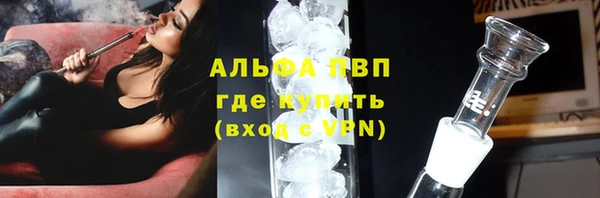 кокс Елизово