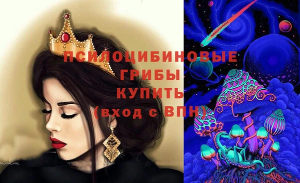 кокс Елизово