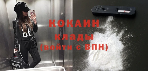 кокс Елизово