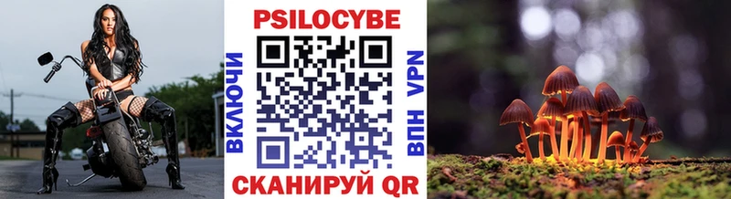 Галлюциногенные грибы Psilocybine cubensis  Купить  Трёхгорный 